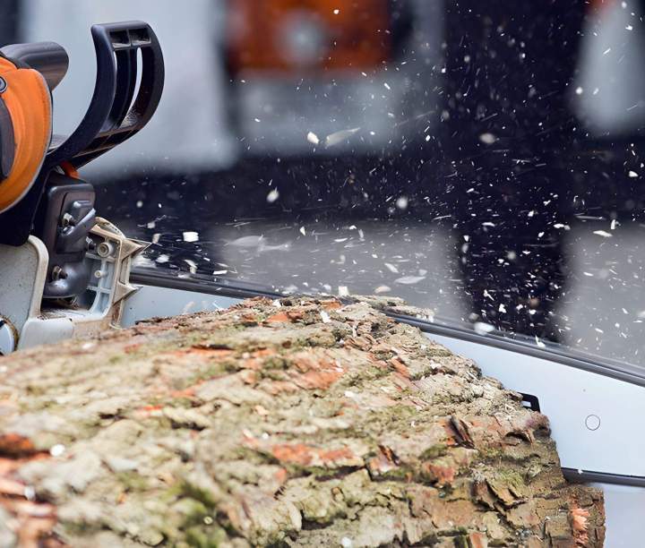 Tronçonnage Martinique