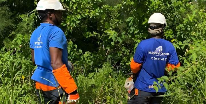 Equipe paysagistes qualifiés Martinique