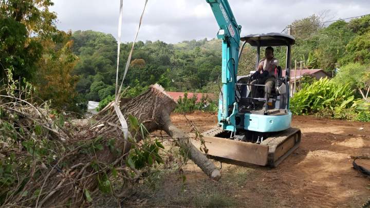 Déplacement tronc d’arbre coupé Martinique