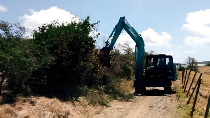 Débroussaillage mécanique Martinique