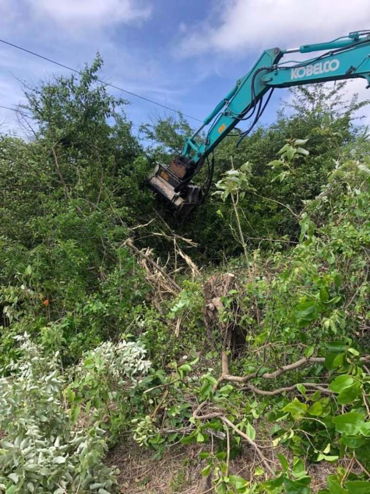 Broyage végétaux Martinique