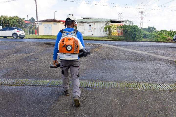Tronçonnage Martinique