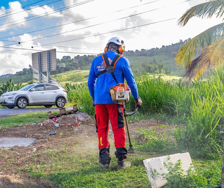 Tronçonnage Martinique