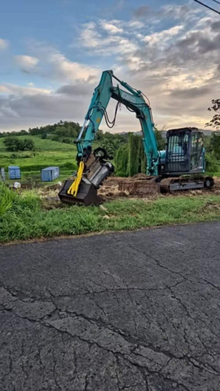 Élagage mécanisé, Le Diamant