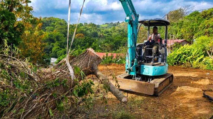 travaux d'aménagement paysager Martinique